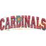 Cardinals Arched 4x4 Satin Snap Shot