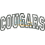 Cougars Arched Applique Snap Shot