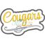 Cougars Script 2017 Snap Shot