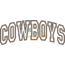 Cowboys Arched Applique Snap Shot