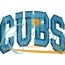 Cubs Arched 4x4 Satin Snap Shot