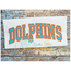 Dolphins Arched