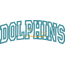 Dolphins Arched Applique Snap Shot