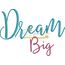 Dream Big Snap Shot