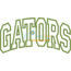 Gators Arched Applique Snap Shot