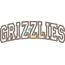 Grizzlies Arched Applique Snap Shot