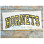 Hornets Arched