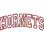 Hornets Arched Applique Snap Shot