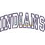 Indians Arched Applique Snap Shot
