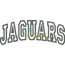Jaguars Arched Applique Snap Shot