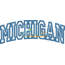 Michigan Arched Applique Snap Shot