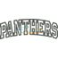 Panthers Arched Applique Snap Shot