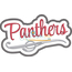 Panthers Script 2017 Snap Shot
