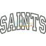 Saints Arched Applique Snap Shot