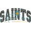 Saints Arched 4x4 Satin Snap Shot