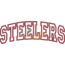 Steelers Arched Applique Snap Shot