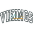 Vikings Arched Applique Snap Shot