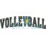 Volleyball Arched 4x4 Satin Snap Shot