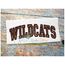 Wildcats Arched