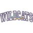 Wildcats Arched Applique Snap Shot