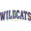 Wildcats Arched 4x4 Satin Snap Shot