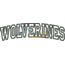 Wolverines Arched Applique Snap Shot