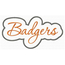 Badgers Applique Script Satin Snap Shot