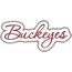 Buckeyes Applique Script Zig Zag Snap Shot