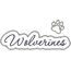 Wolverines Applique Script Zig Zag Snap Shot